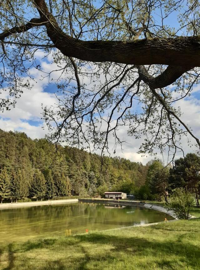 Vlčí důl Bludov Bludov (Sumperk) Exterior foto